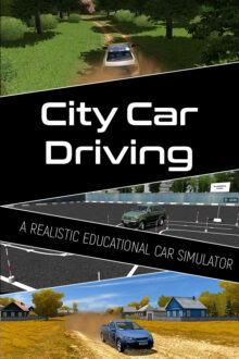 City Car Driving Cheats