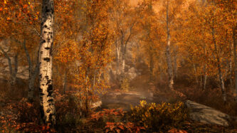 The Elder Scrolls V Skyrim Mods