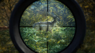 theHunter Call of the Wild Skidrow