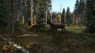 DayZ Free Steam