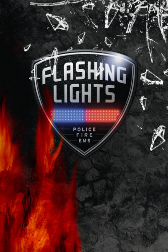 Flashing Lights Cheats