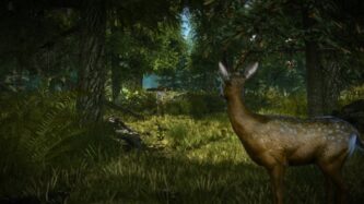 The Witcher 2 Assassins of Kings Reviews