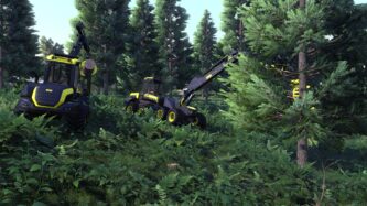 Lumberjacks Dynasty Mods