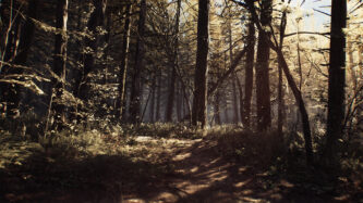 Blair Witch Skidrow