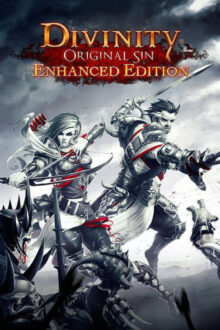 Divinity Original Sin PC Game