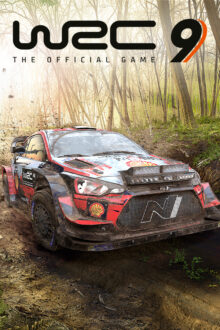 Wrc 9 Fia World Rally Championship On PC