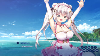 Island Diary Steamrip