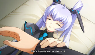 Muv-Luv Alternative Gameplay