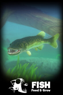 Feed and Grow Fish DodiRepack