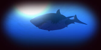 Feed and Grow Fish Torrent File