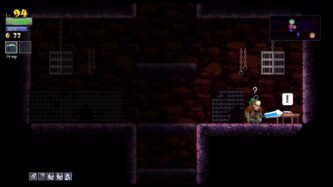 Rogue Legacy Mods