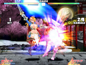 Strip Fighter 5 WIKI