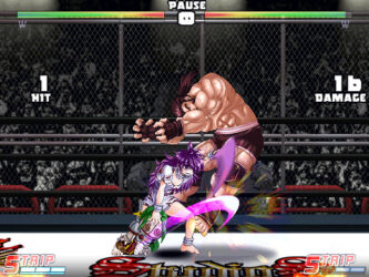 Strip Fighter 5 Repack
