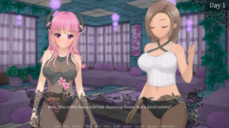 Succubus Research Diary Steamrip