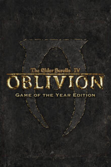 The Elder Scrolls IV Oblivion Multiplayer