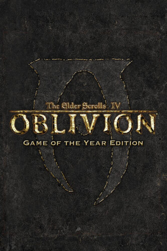 The Elder Scrolls IV Oblivion Multiplayer