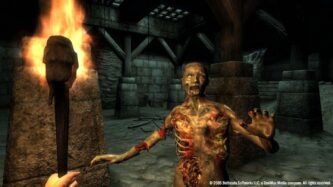 The Elder Scrolls IV Oblivion Steamunlocked