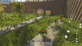Journey Of Life Free Steam