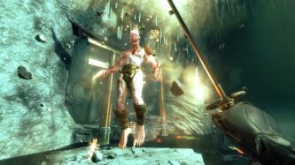 Shadow Warrior Updated Version