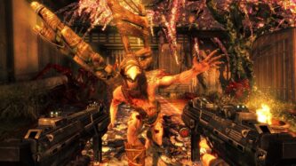 Shadow Warrior Windows PC