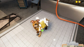Animal Shelter Cheats