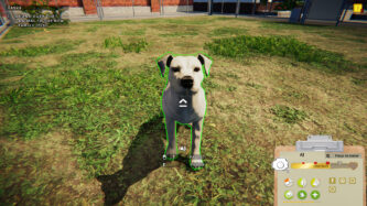 Animal Shelter Mods