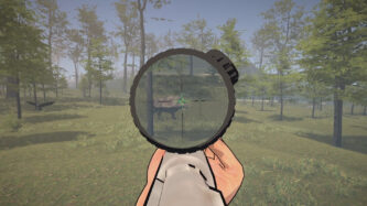 Deadly Flare WIKI