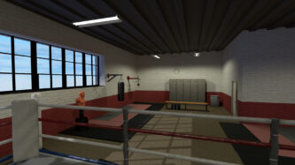 The Thrill of the Fight VR Boxing WIKI
