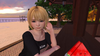 SUMMER VACATION Walkthrough