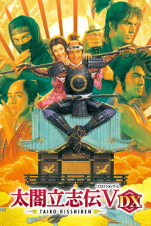 Taiko Risshiden V DX Steam