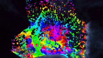 Chroma Lab Screenshots