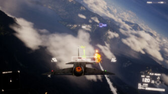 Project Wingman WIKI