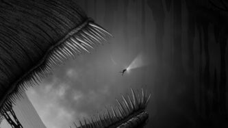 Silt Reviews