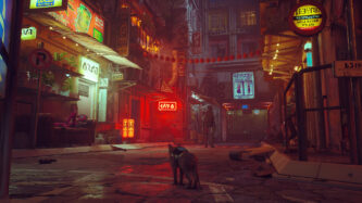 Stray Steam