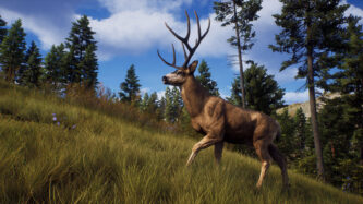 Way of the Hunter Free Download By Steam-repacks.com
