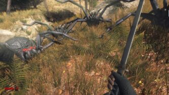 Forest spiders Free Download By Steam-repacks.com