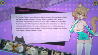 Miss Neko 3 Free Download By Steam-repacks.com