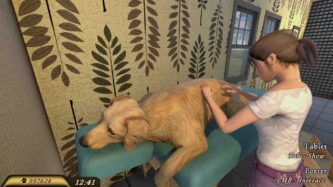 Pets Hotel Free Download By Steam-repacks.com