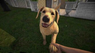 Pets Hotel Free Download By Steam-repacks.com