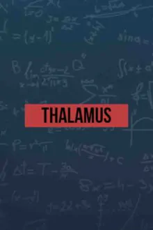Thalamus Free Download (v1.0)