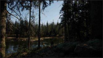 Evergreen Mountain Life Simulator Free Download By Steam-repacks.com