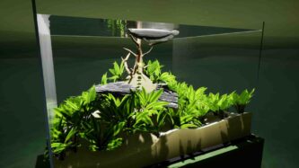 Fish Game Free Download By Steam-repacks.com