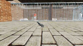 Raven Simulator Free Download By Steam-repacks.com