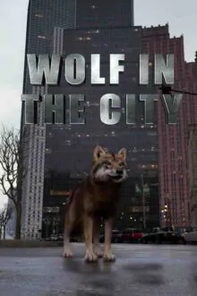 WOLF IN THE CITY Free Download (v1.2987654)