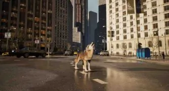 WOLF IN THE CITY Free Download By Steam-repacks.net