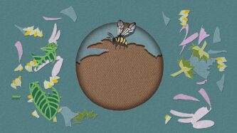 Papercut Art Gallery-Nature Free Download By Steam-repacks.net