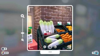 Shashingo Learn Japanese with Photography Free Download By Steam-repacks.net