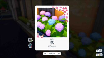 Shashingo Learn Japanese with Photography Free Download By Steam-repacks.net