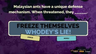 The Jackbox Party Pack 2 Free Download By Steam-repacks.net