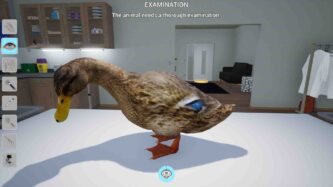 My Life Farm Vet Free Download By Steam-repacks.net